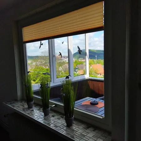 Ferienwohnung Harz Valley -Mit Fernblick In Den Harz. Goslar Exterior photo