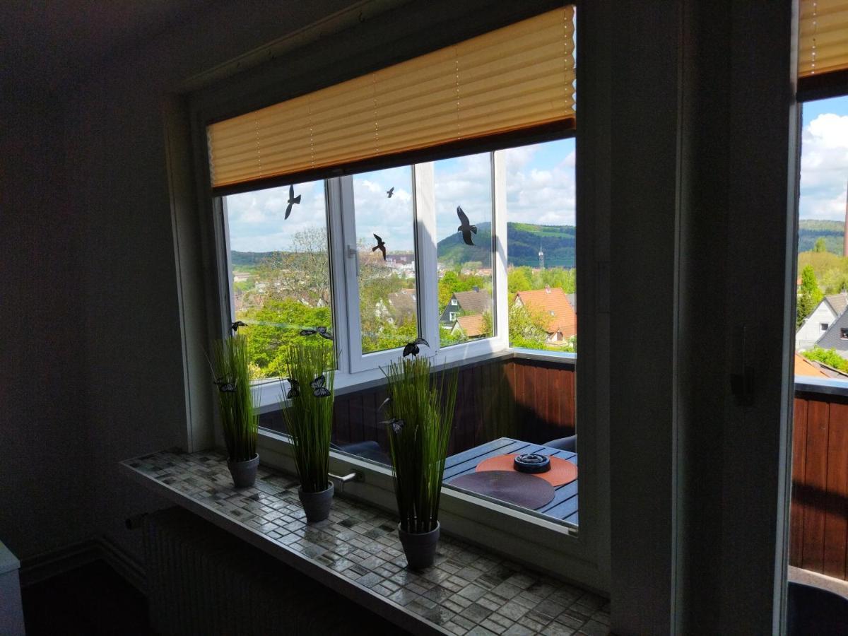Harz Valley -mit Fernblick In Den Harz. Apartment